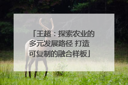 王超：探索农业的多元发展路径 打造可复制的融合样板