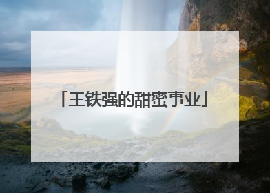 王铁强的甜蜜事业