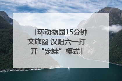 环动物园15分钟文旅圈 汉阳六一打开“宠娃”模式