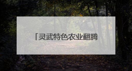 灵武特色农业翻腾振兴“致富浪”