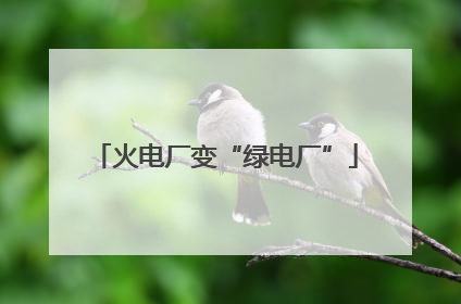 火电厂变“绿电厂”