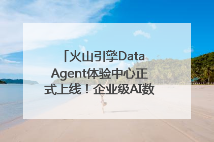 火山引擎Data Agent体验中心正式上线！企业级AI数据专家触手可及