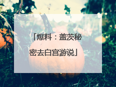 爆料：盖茨秘密去白宫游说