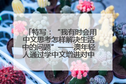 特写：“我有时会用中文思考怎样解决生活中的问题”——澳年轻人通过学中文增进对中华文化的理解