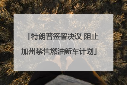 特朗普签署决议 阻止加州禁售燃油新车计划