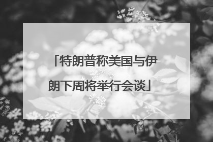 特朗普称美国与伊朗下周将举行会谈