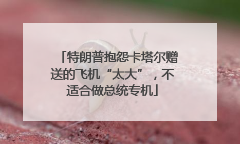 特朗普抱怨卡塔尔赠送的飞机“太大”，不适合做总统专机