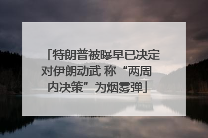 特朗普被曝早已决定对伊朗动武 称“两周内决策”为烟雾弹