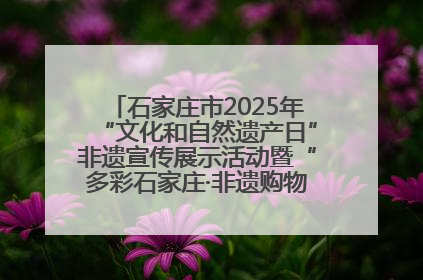 石家庄市2025年“文化和自然遗产日”非遗宣传展示活动暨“多彩石家庄·非遗购物节”倒计时1天