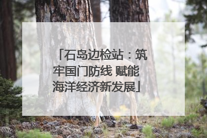 石岛边检站：筑牢国门防线 赋能海洋经济新发展