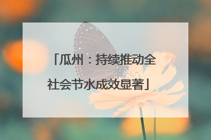 瓜州：持续推动全社会节水成效显著