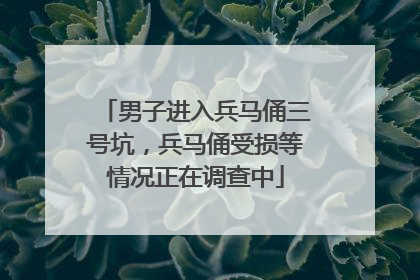 男子进入兵马俑三号坑，兵马俑受损等情况正在调查中