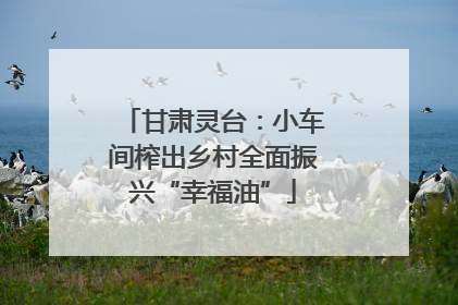 甘肃灵台：小车间榨出乡村全面振兴“幸福油”