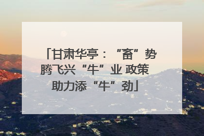甘肃华亭：“畜”势腾飞兴“牛”业 政策助力添“牛”劲