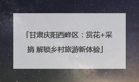 甘肃庆阳西峰区：赏花+采摘 解锁乡村旅游新体验