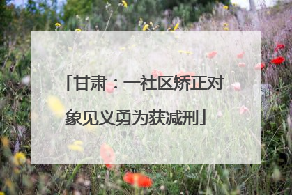 甘肃：一社区矫正对象见义勇为获减刑