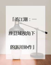 甬江潮：一座县域视角下的浙川协作