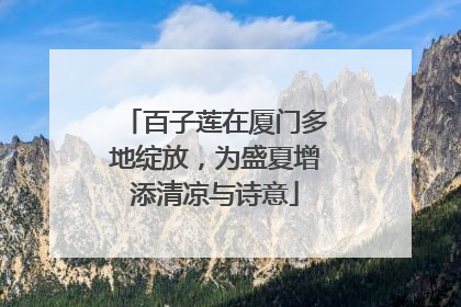 百子莲在厦门多地绽放，为盛夏增添清凉与诗意