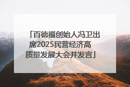 百德福创始人冯卫出席2025民营经济高质量发展大会并发言