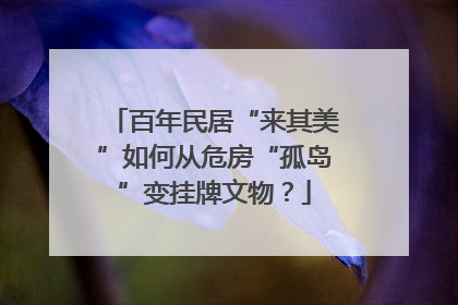 百年民居“来其美”如何从危房“孤岛”变挂牌文物？