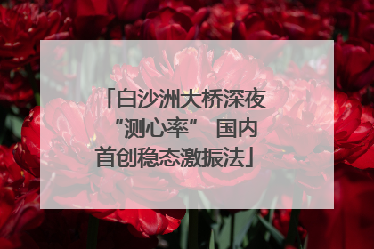 白沙洲大桥深夜“测心率” 国内首创稳态激振法