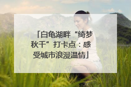 白龟湖畔“绮梦秋千”打卡点：感受城市浪漫温情