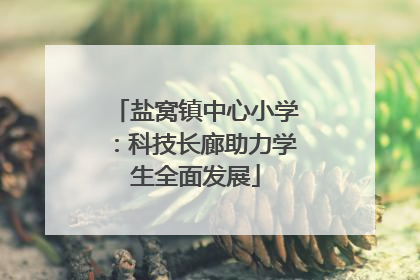 盐窝镇中心小学：科技长廊助力学生全面发展