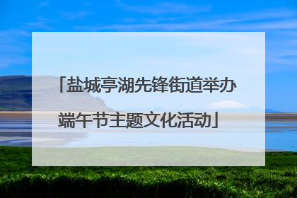 盐城亭湖先锋街道举办端午节主题文化活动