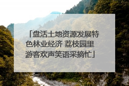 盘活土地资源发展特色林业经济 荔枝园里游客欢声笑语采摘忙