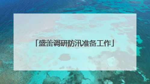 盛蕾调研防汛准备工作