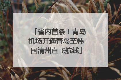 省内首条！青岛机场开通青岛至韩国清州直飞航线