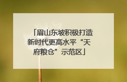 眉山东坡积极打造新时代更高水平“天府粮仓”示范区