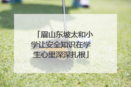眉山东坡太和小学让安全知识在学生心里深深扎根