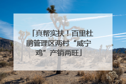 真帮实扶！百里杜鹃管理区两村“威宁鸡”产销两旺