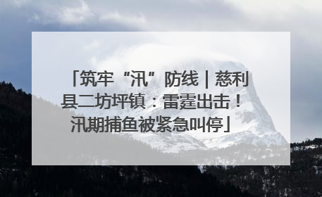 筑牢“汛”防线｜慈利县二坊坪镇：雷霆出击！汛期捕鱼被紧急叫停
