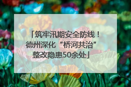 筑牢汛期安全防线！德州深化“桥河共治”整改隐患50余处