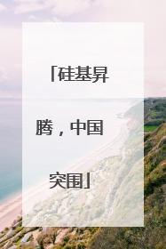 硅基昇腾，中国突围