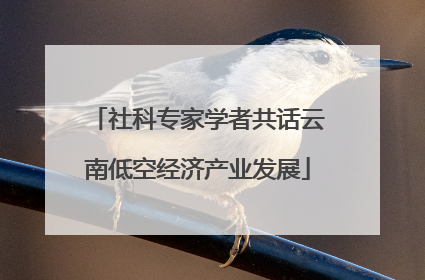 社科专家学者共话云南低空经济产业发展
