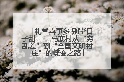 礼堂喜事多 别墅日子甜——马寨村从“穷乱差”到“全国文明村庄”的蝶变之路