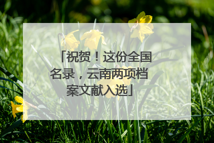 祝贺！这份全国名录，云南两项档案文献入选