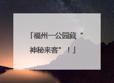 福州一公园藏“神秘来客”！