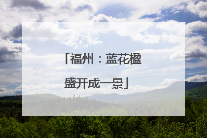 福州：蓝花楹盛开成一景