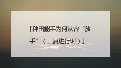 种田能手为何从容“放手”（三夏进行时）