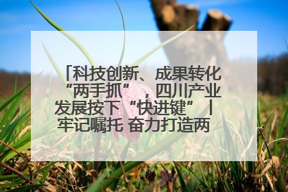 科技创新、成果转化“两手抓”，四川产业发展按下“快进键”丨牢记嘱托 奋力打造两高地两基地一屏障