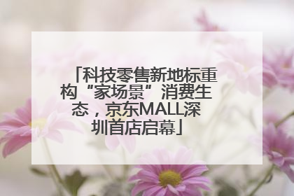 科技零售新地标重构“家场景”消费生态，京东MALL深圳首店启幕
