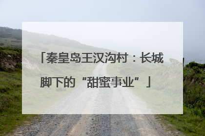 秦皇岛王汉沟村：长城脚下的“甜蜜事业”
