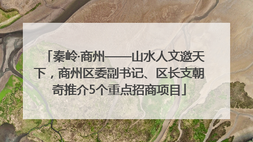 秦岭·商州——山水人文邀天下，商州区委副书记、区长支朝奇推介5个重点招商项目