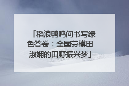稻浪鸭鸣间书写绿色答卷：全国劳模田淑娴的田野振兴梦
