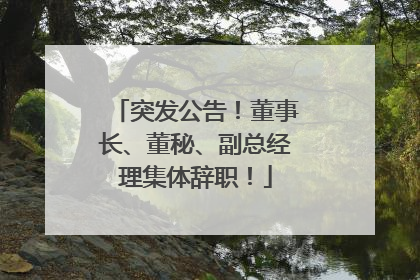 突发公告！董事长、董秘、副总经理集体辞职！
