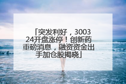 突发利好，300324开盘涨停！创新药重磅消息，融资资金出手加仓股揭晓